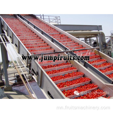 Өндөр үр ашигтай улаан лоолийн чанамал / жимсний чанамал боловсруулах шугам